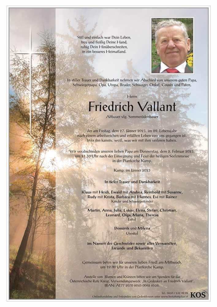 Friedrich Vallant